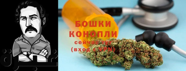 ГАЛЛЮЦИНОГЕННЫЕ ГРИБЫ Пестово