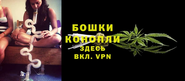 хмурый Видное
