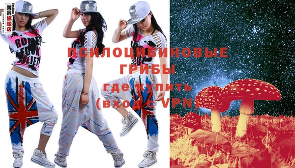 крисы Пересвет