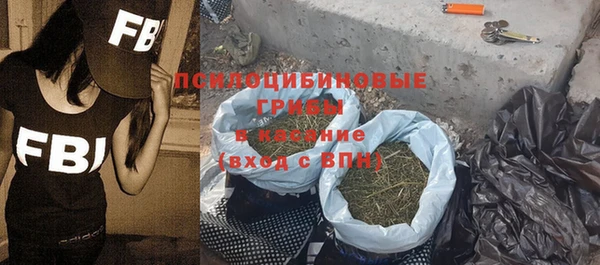 крисы Пересвет