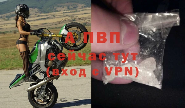 крисы Пересвет