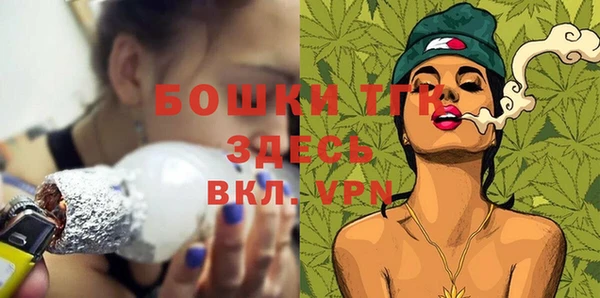 крисы Пересвет