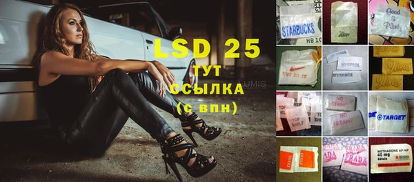 ГАЛЛЮЦИНОГЕННЫЕ ГРИБЫ Пестово