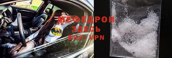 индика Весьегонск