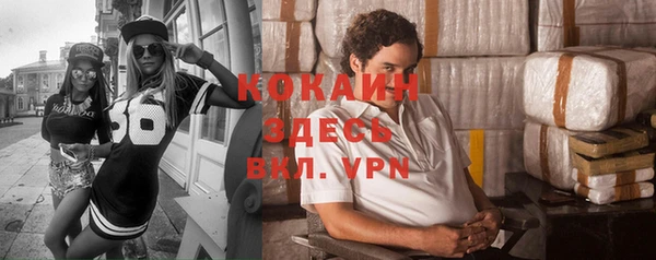 ГАЛЛЮЦИНОГЕННЫЕ ГРИБЫ Пестово