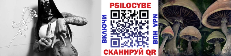 Галлюциногенные грибы GOLDEN TEACHER  Шарья 