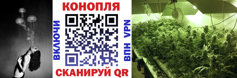 Бошки Шишки семена  купить наркоту  Шарья 